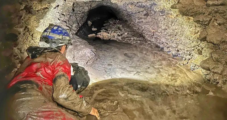 Archaeologists Uncover Animal Bones And Ancient Roman Snack Foods Beneath The Colosseum