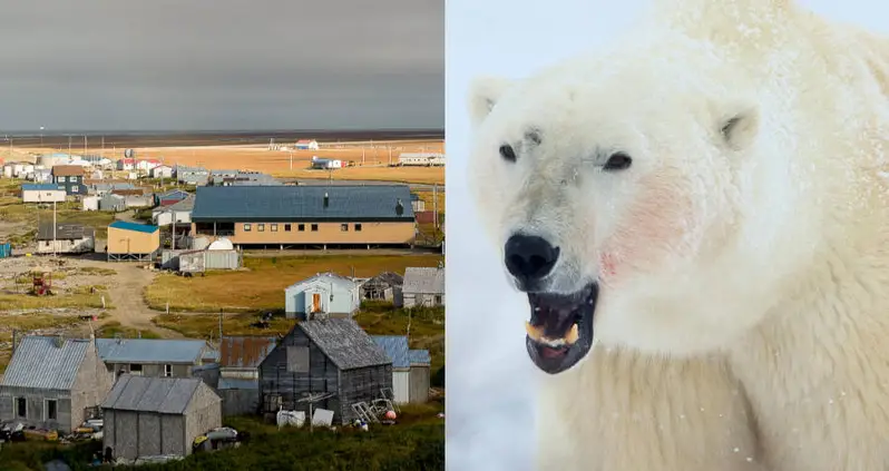 A Woman And Her Child Were Just Killed By A Rampaging Polar Bear In A Remote Alaskan Village