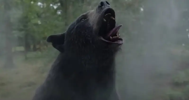 The True Story Behind ‘Cocaine Bear,’ When A Black Bear Ate 70 Pounds Of Cocaine