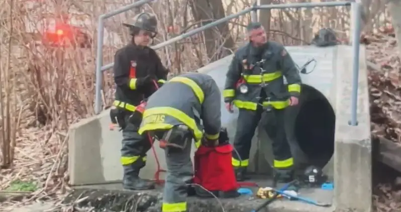 Five Kids Have Been Rescued After Getting Lost In Staten Island’s Sewer System