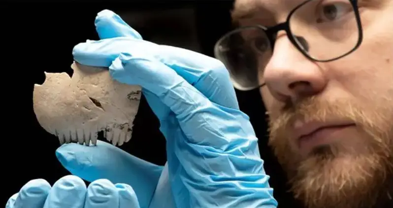 Archaeologists Identify An Iron Age Comb Made From A Human Skull In England