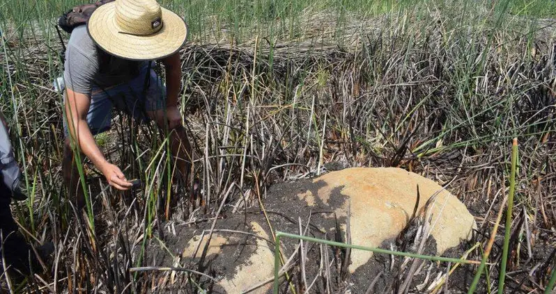 New Easter Island Moai Statue Discovered At The Bottom Of A Dry Lake Bed