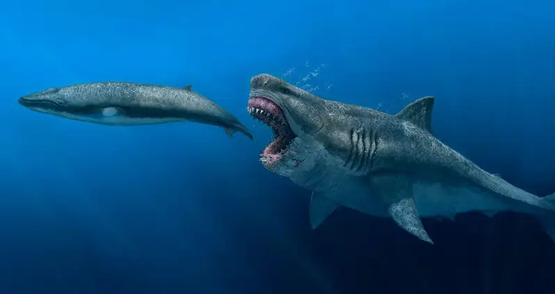 Inside The Terrifying History Of The Megalodon, The Shark That Made The T-Rex Look Tiny