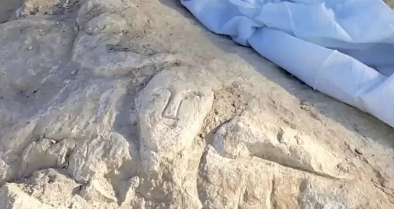 Archaeologists In Spain Discover 2,000-Year-Old Carvings Of A Roman Smiley Face And Phallus