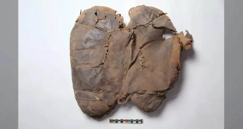 2,700-Year-Old Saddle Discovered In Woman’s Grave In China May Be Oldest Ever Found