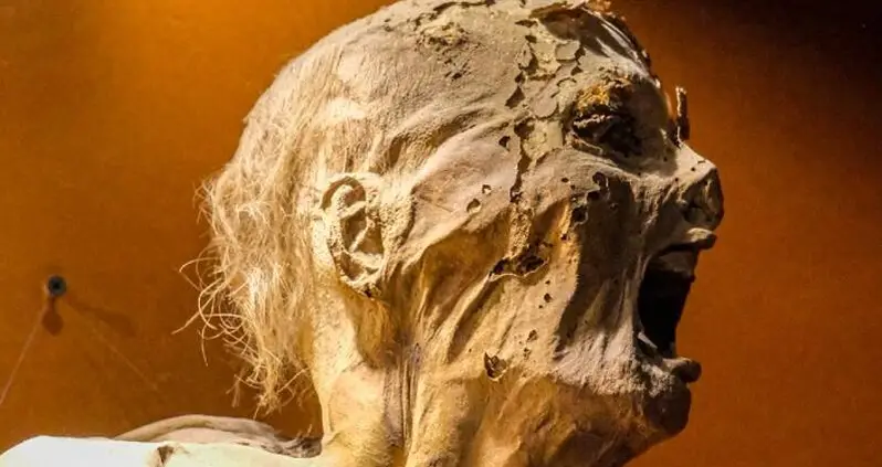 The Chilling Story Of The Guanajuato Mummies, Mexico’s Eerie Screaming Corpses