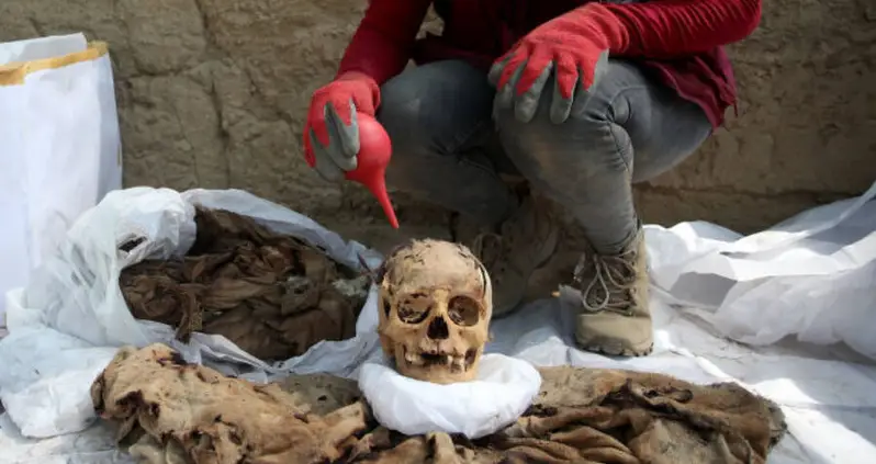 Archaeology Students In Peru Found A 3,000-Year-Old Mummy Under Eight Pounds Of Trash Next To A Soccer Field