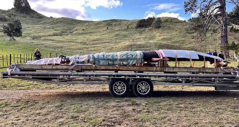 150-Year-Old Māori Canoe Known As A Waka Found In Excellent Condition In New Zealand’s Pātea River