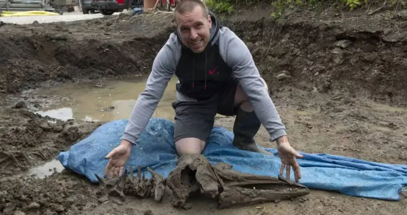 A Scottish Man Finds 8,000-Year-Old Dolphin Bones While Digging A Backyard Pool For His Kids