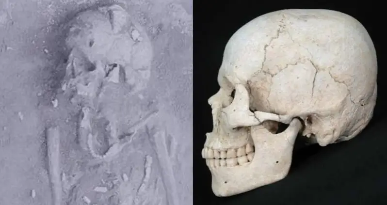 Scientists Just Determined That The Hirota People Of Japan Intentionally Deformed Their Skulls Centuries Ago