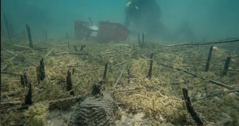 Archaeologists In The Balkans Just Found Evidence Of Europe’s Oldest-Known Lakeside Village