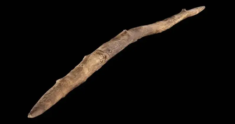 300,000-Year-Old Pointy Stick Found In Germany Is Among Oldest Documented Wooden Tools Made By Early Humans