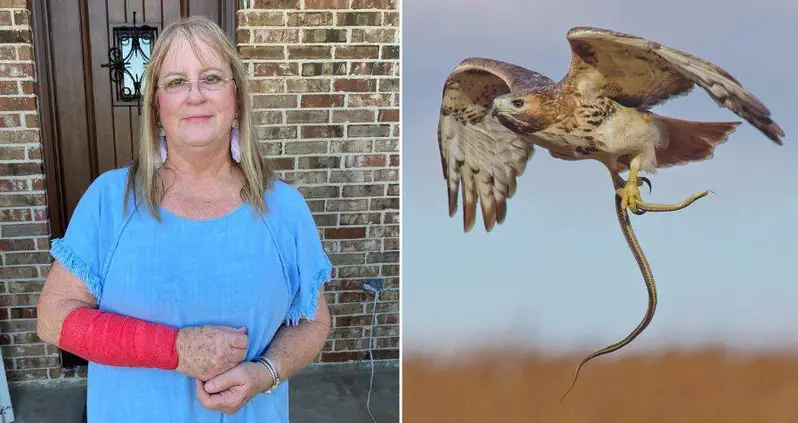 This Texas Woman Was Just Attacked By A Snake And A Hawk — At The Same Time