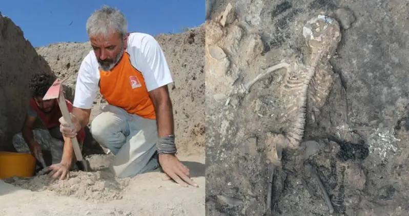 Well-Preserved 3,700-Year-Old Bronze Age Brain And Skin Remains Found In Turkey