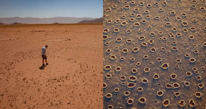 Enigmatic Fairy Circles Thought To Only Appear In Australia And Africa May Be Far More Common