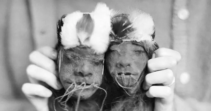 Inside The Real History Of Shrunken Heads, From The Amazon To Nazi Germany