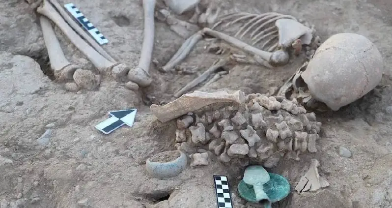 Archaeologists In Kazakhstan Unearth Bronze Age Burial Of Girl Laid To Rest With More Than 180 Animal Bones