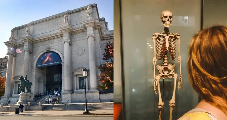 The American Museum Of Natural History Will Remove Its Human Remains From Display — All 12,000 Of Them