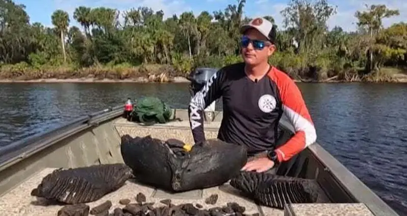 Massive 10,000-Year-Old Mammoth Jaw Pulled Out Of Florida River