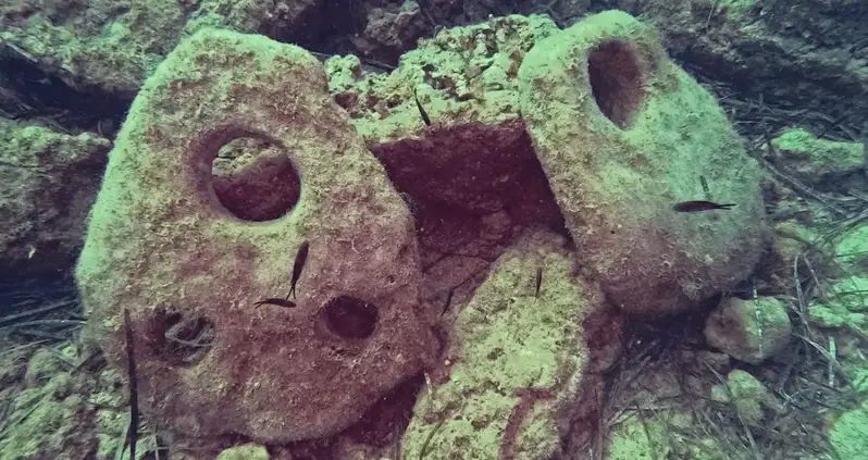 Two Ancient Stone Anchors Were Just Discovered Off The Coast Of Sicily