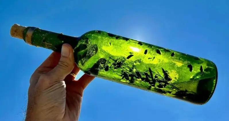 ‘Witch Bottles’ Have Been Washing Up In Texas — And Experts Have No Idea Where They’re Coming From