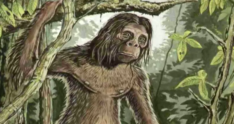 Meet Orang Pendek, The Rumored Hobbit-Like Creature Known As The ‘Bigfoot’ Of Sumatra