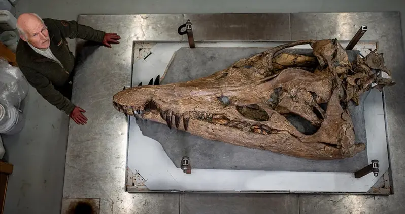 A Massive Sea Monster Skull Was Just Discovered Along England’s ‘Jurassic Coast’