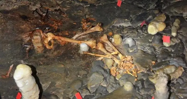 Archaeologists In Spain Just Found An Astonishingly Well-Preserved Cave Dwelling That Dates Back To The Stone Age