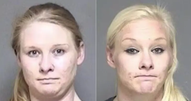 A Minnesota Woman Was Charged With Crashing Into An Amish Buggy And Asking Her Twin Sister To Take The Fall