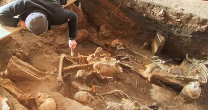 Mass Grave With Over 1,000 Skeletons Discovered In The Center Of Nuremberg, Germany