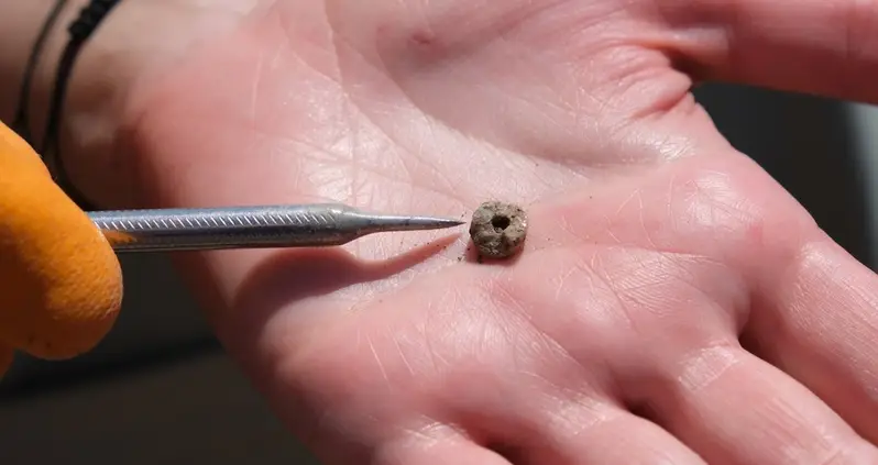 Striking Evidence Of 11,000-Year-Old Facial Piercings Discovered In Turkey