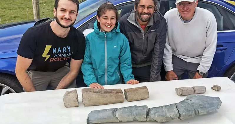 Ichthyosaur Fossils Found By 11-Year-Old Girl In The U.K. May Belong To The Largest Marine Reptile Ever Discovered