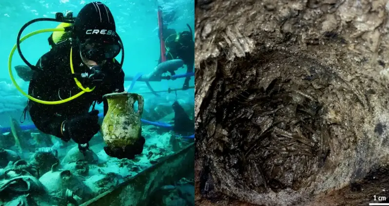New Study Details Cargo Found On A 4th-Century Roman Shipwreck In Spain — Including Jars Of Fish Sauce