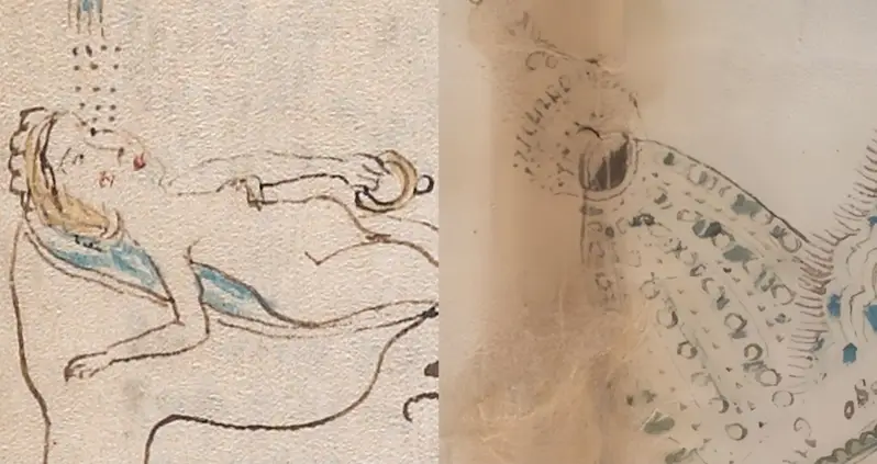 New Study Suggests The Elusive 600-Year-Old Voynich Manuscript Contains Secrets About Sex And Conception