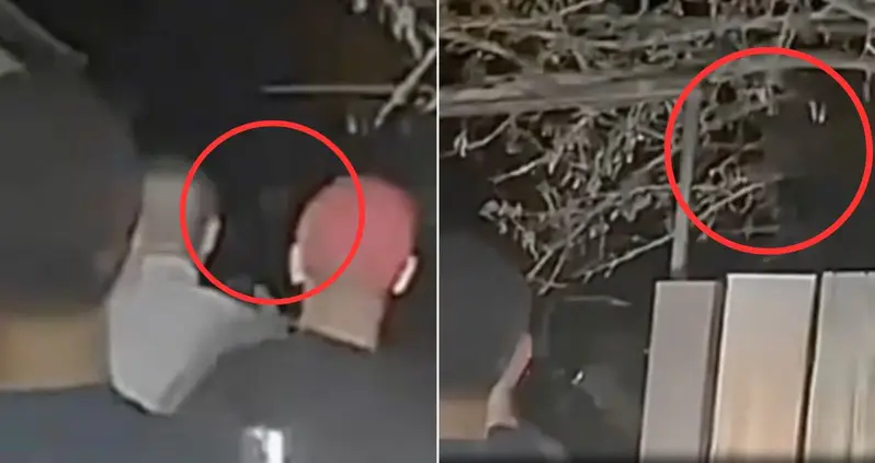 A Las Vegas Family Claims They Captured A Video Of Aliens In Their Backyard — And An Expert Crime Scene Analyst Agrees