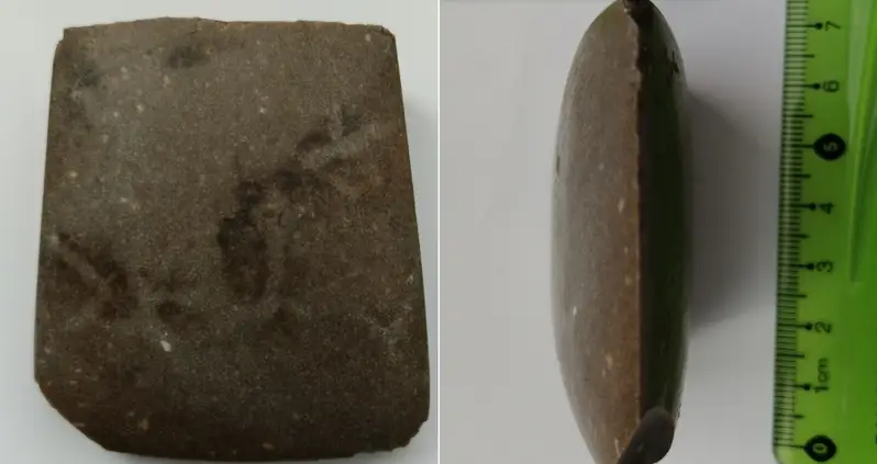An Ancient Axe Head Was Found By A Man Weeding His Raspberry Patch In Poland