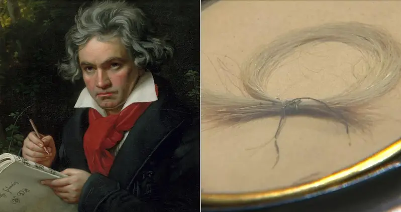 A New Analysis Of Beethoven’s Hair May Finally Reveal Why The Legendary Composer Went Deaf