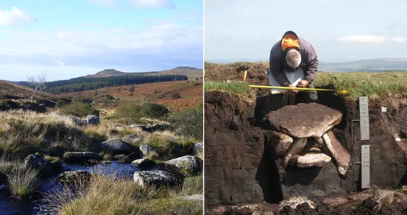 Archaeologists In England Are Preparing To Excavate A Potential Bronze Age Burial Site Revealed By Peat Erosion