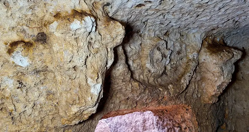 Archaeologists In Türkiye Uncover Ancient Roman Tomb Guarded By Two Bull Heads Made Of Stone