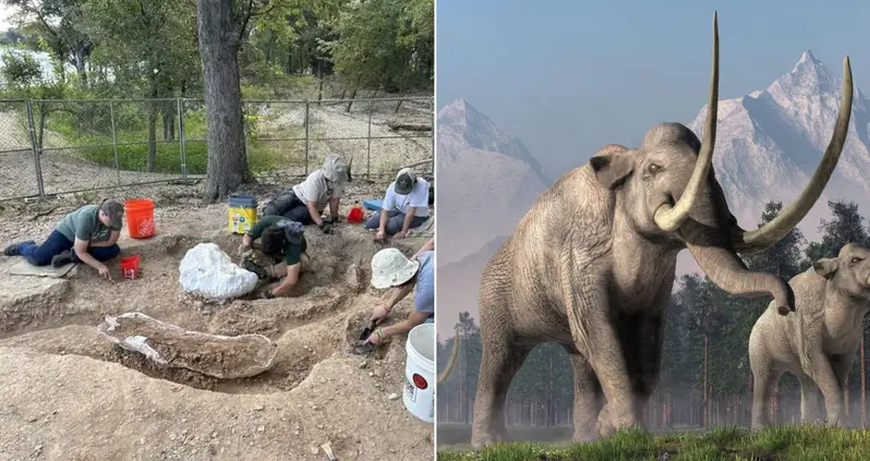 Paleontologists In Texas Just Unearthed The Bones Of A Mammoth After A Woman Fell Right Over Them While Fishing