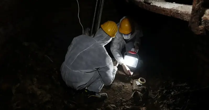 New Evidence Suggests Europeans Began Using Cocaine As Early As The 17th Century