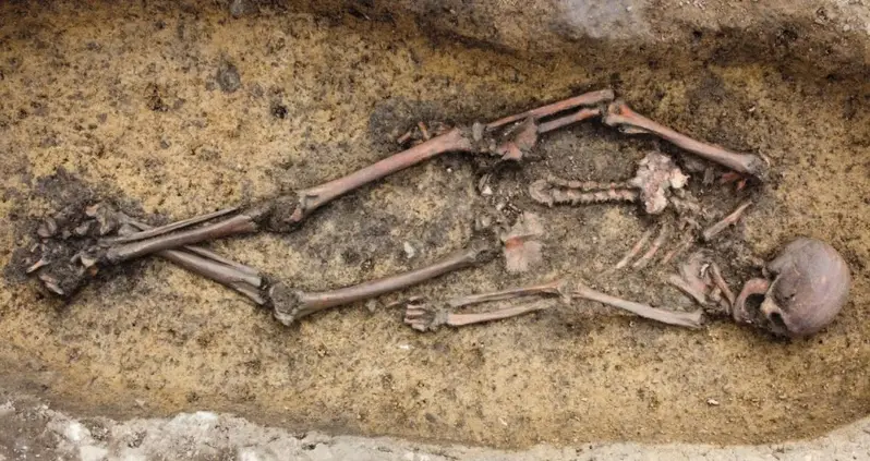 Archaeologists In Denmark Just Uncovered 50 Exceptionally Well-Preserved Viking Skeletons