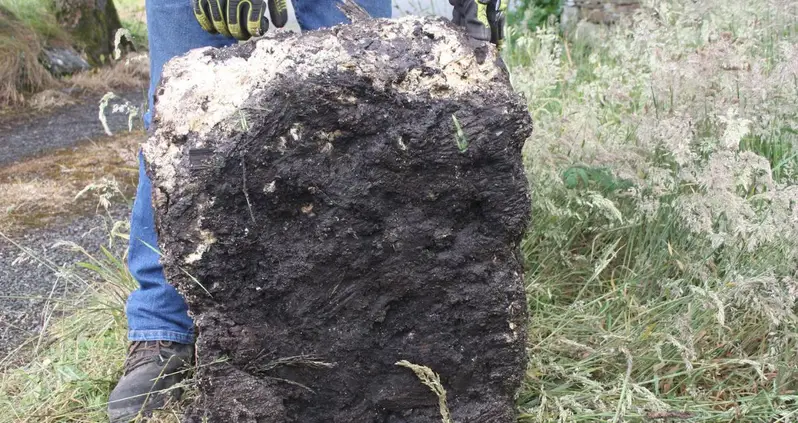 Irish Farmer Digs Up 50-Pound Slab Of Centuries-Old Bog Butter