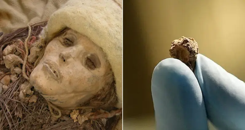 This 3,600-Year-Old Mummy Found In China Had The World’s Oldest Cheese Around Its Neck