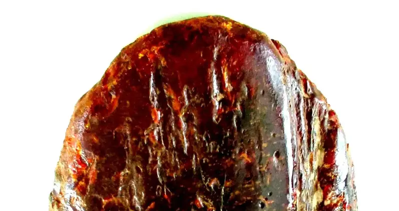 Romanian Woman’s Doorstop Turns Out To Be A Chunk Of Amber Worth $1.1 Million