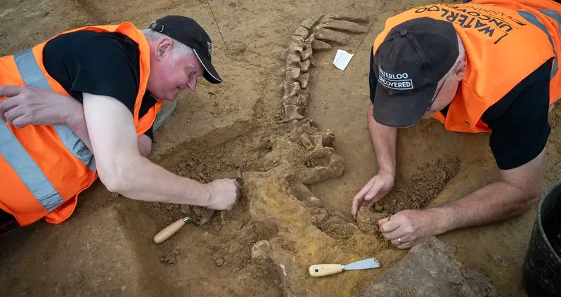 Archaeologists Uncover ‘Gore Pit’ From The Battle Of Waterloo Filled With Horses And Amputated Limbs