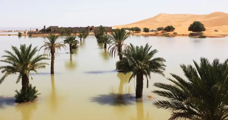 The Sahara Desert Has Flooded For The First Time In Nearly Half A Century