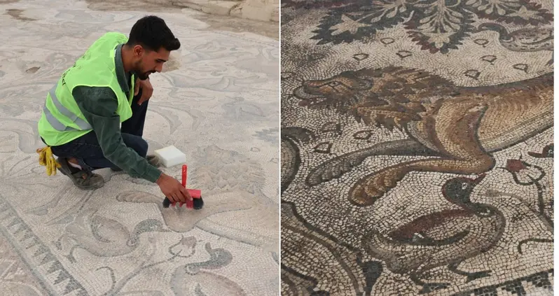 A Massive Roman Mosaic Was Just Uncovered By A Farmer In Eastern Türkiye