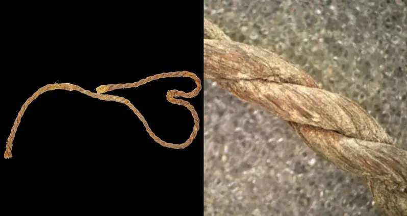 Bowstrings Discovered In A Cave In Spain Are The Oldest Ever Found In Europe