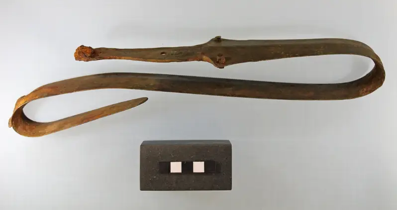 A Metal Detectorist In Denmark Has Uncovered A 2,500-Year-Old Sword That Was Bent During A Sacrificial Ritual